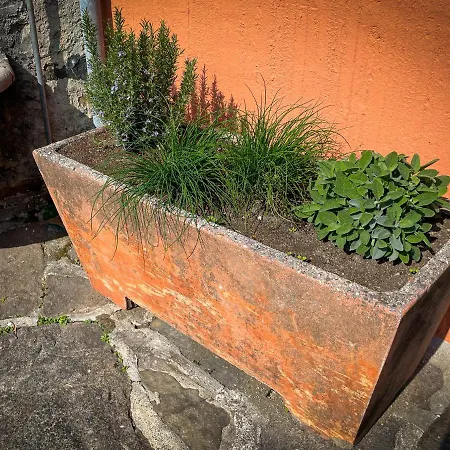 Feriehus Rustico Al Sole - Just Renewed 1bedroom In Ronco sopra Ascona