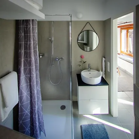 Rustico Al Sole - Just Renewed 1bedroom In * Ronco sopra Ascona