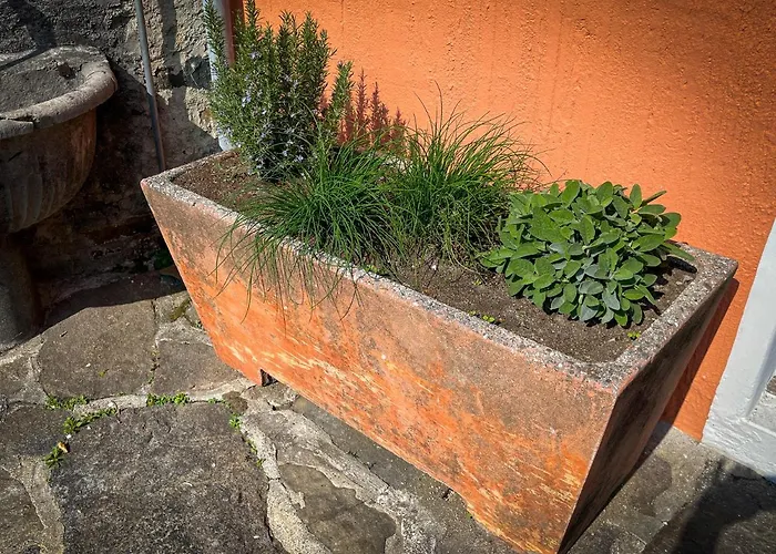 Dom wakacyjny Rustico Al Sole - Just Renewed 1bedroom In Ronco sopra Ascona