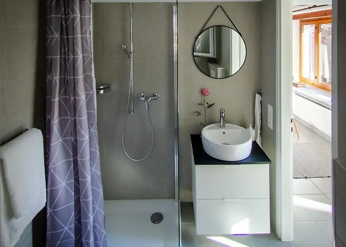 Rustico Al Sole - Just Renewed 1bedroom In * Ronco sopra Ascona