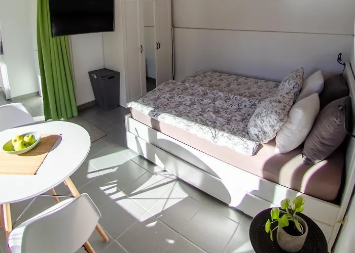 Rustico Al Sole - Just Renewed 1bedroom In Ronco sopra Ascona